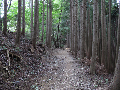 20150929hike (211)